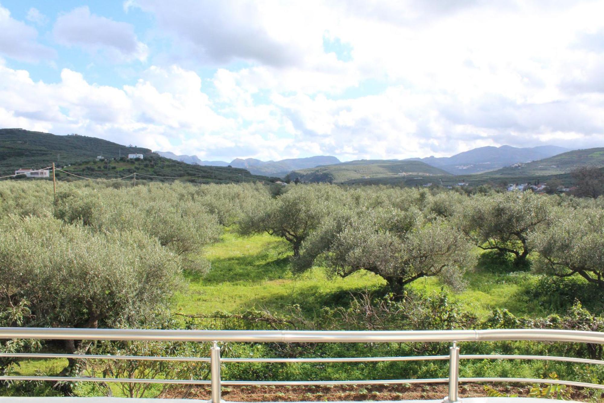 Village Drapanias Apartments Kissamos Exterior photo